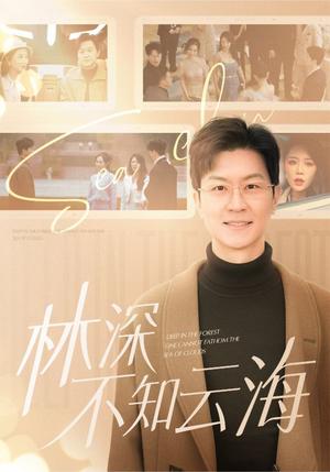 《林深不知云海(84集)王鹏&钟莹玲(夸克网盘)》短剧封面