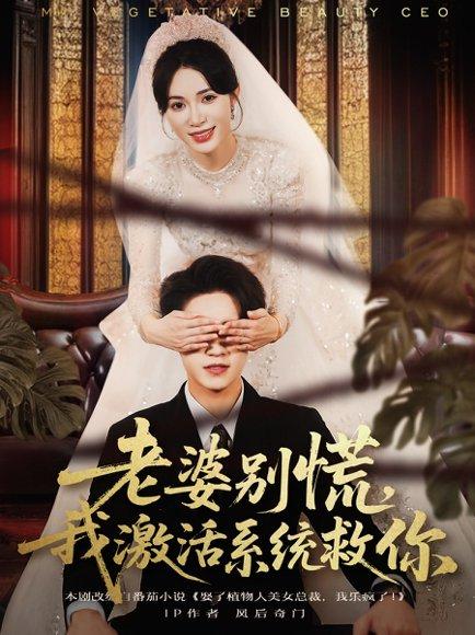 《老婆别慌，我激活系统救你》短剧封面