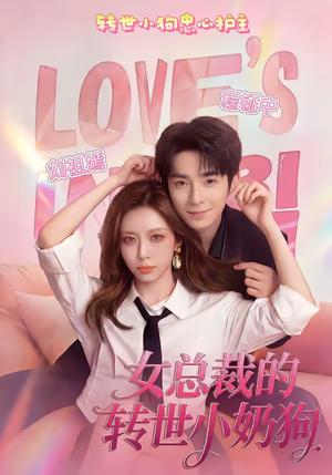 《女总裁的转世小奶狗(30集)程钲中&刘祖嫣(夸克网盘)》短剧封面