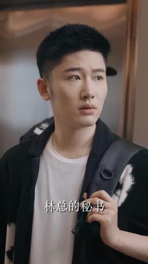 《我的秘书为什么这样(94集)(夸克网盘)》短剧封面