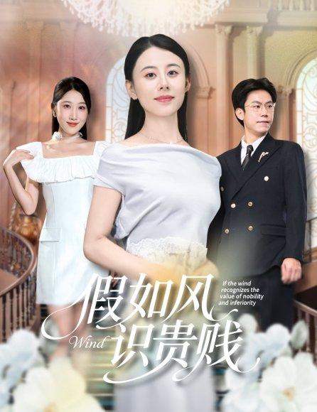 《假如风识贵贱》短剧封面