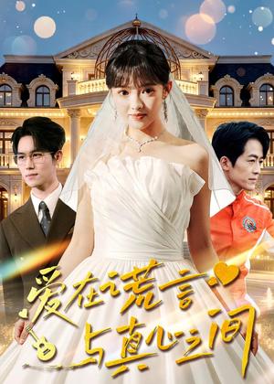《爱在谎言与真心之间(76集)吴梦媛&南下(夸克网盘)》短剧封面