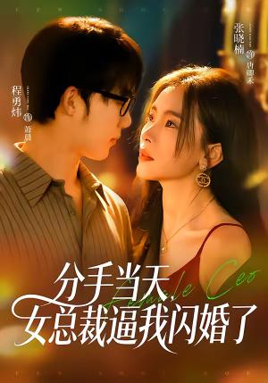 《分手当天，女总裁逼我闪婚了（72集）张晓楠＆程勇炜（夸克网盘）》短剧封面