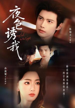 《夜色诱我(78集)陈瑞丰&孙露鹭(1080P)(夸克网盘)》短剧封面