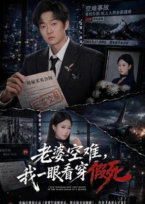 《老婆空难,我一眼看穿假死(80集)文烨&杨敬晶(夸克网盘)》短剧封面