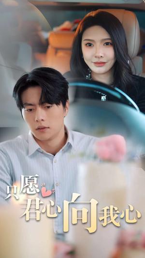 《只愿君心向我心（31集）张磊（夸克网盘）》短剧封面