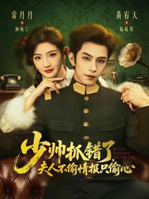 《少帅抓错了，夫人不偷情报只偷心（66集）黄宥天＆常丹丹（夸克网盘）》短剧封面