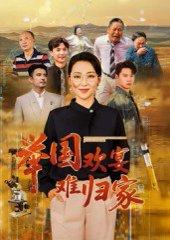 《举国欢宴难归家》短剧封面