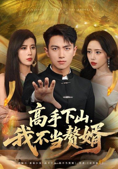 高手下山我不当赘婿 《高手下山我不当赘婿》短剧封面
