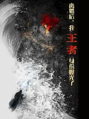 《离婚后，我王者身份曝光了（80集）廖芯&杨泽琳（夸克网盘）》短剧封面