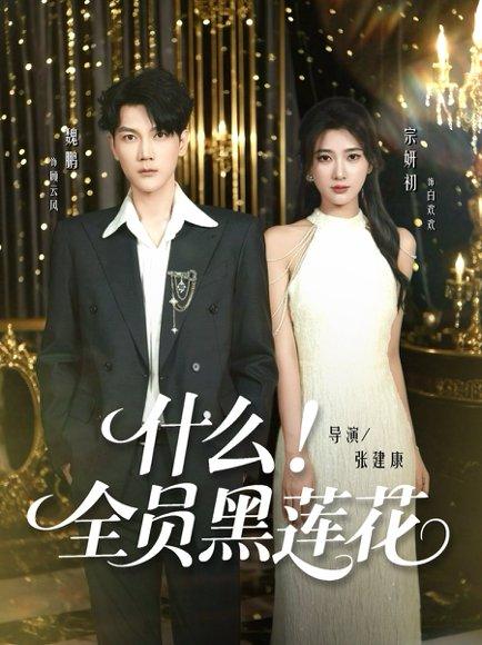 《什么全员黑莲花》短剧封面