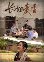 《长姐麦香》短剧封面