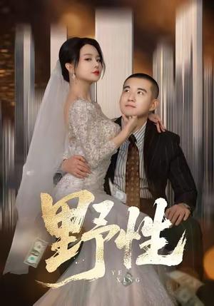 《野性＆分手后，顶头上司要嫁我（70集）阎论＆梦露》短剧封面
