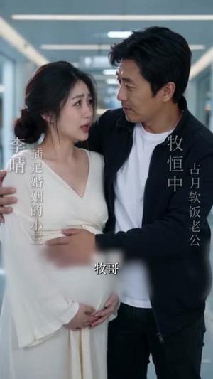 《闪婚契:与医学先生共赴余生(95集)(夸克网盘)》短剧封面