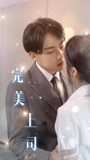 《擦边短剧：完美上司（30集）（夸克网盘）》短剧封面