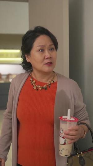 《凤羽辰安（100集）（夸克网盘）》短剧封面