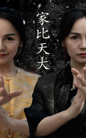 《且以情深趁年华(69集)(夸克网盘)》短剧封面