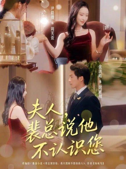 《夫人裴总说他不认识您（75集）张淇皓&尹晨攒》短剧封面