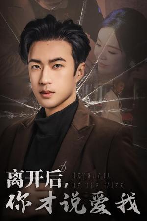 《离开后你才说爱我&心如枯木难逢春(30集)孔奇力(夸克网盘)》短剧封面