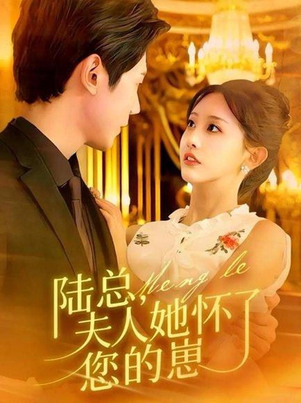 《陆总,夫人她怀了您的崽(89集)何连飞&李艾笑》短剧封面