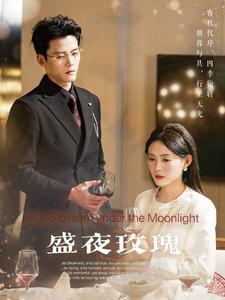《盛夜玫瑰（69集）陈刚（夸克网盘）》短剧封面