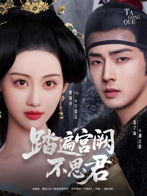 《踏遍宫阙不思君（75集）裴子添＆曹赛亚（夸克网盘）》短剧封面