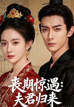 《丧期惊遇夫君归来(49集)Ai短剧(夸克网盘)》短剧封面