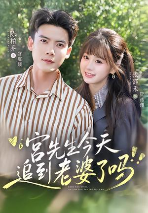 《宫先生今天追到老婆了吗（73集）陈刚＆张邵禾（1080P）（夸克网盘）》短剧封面