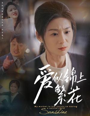 《爱似锦上繁花（60集）邹佳颖&陈思琦（夸克网盘）》短剧封面