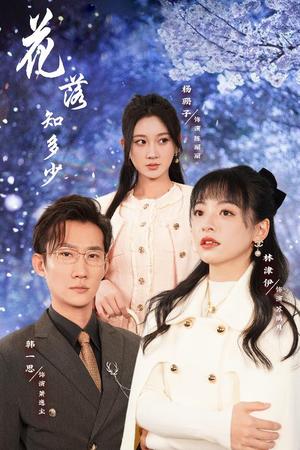 《花落知多少&哥哥逆光而来（27集）（夸克网盘）》短剧封面