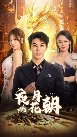 《夜月花朝（30集）（夸克网盘）》短剧封面