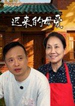 迟来的母爱 《迟来的母爱》短剧封面
