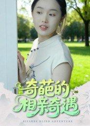 《奇葩的相亲奇遇》短剧封面
