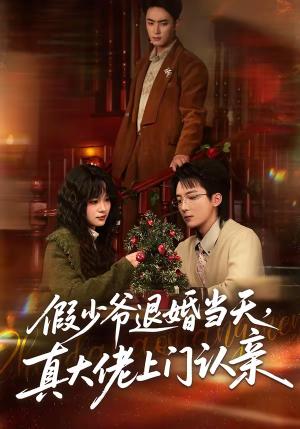 《假少爷退婚当天,真大佬上门认亲(50集)刘海燕&周宇航(夸克网盘)》短剧封面