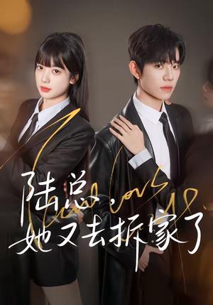 《陆总，她又去拆家了（80集）白贯羽＆吴飞雪（夸克网盘）》短剧封面