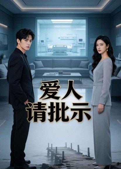 《爱人请批示（49集）AI短剧（百度网盘）》短剧封面