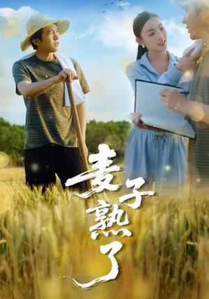《麦子熟了(52集)冯思源&宋雯娟(夸克网盘)》短剧封面