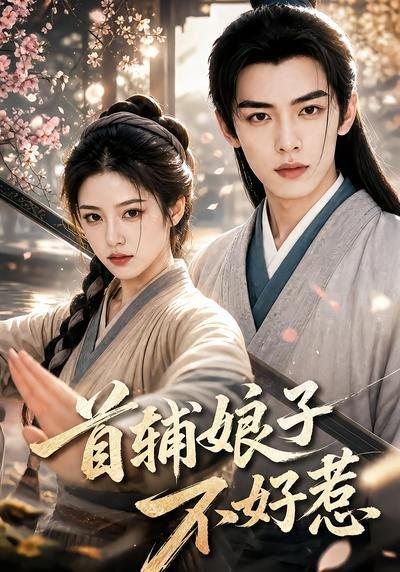 《首辅娘子不好惹(156集)(百度网盘)》短剧封面