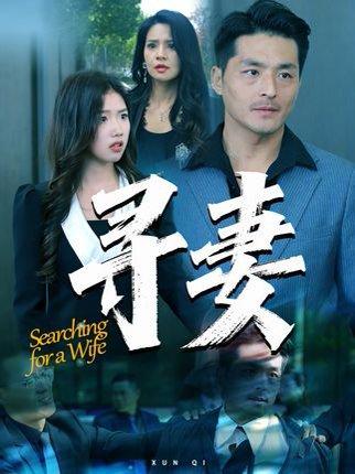 《寻妻（70集）》短剧封面