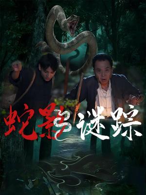 《蛇影谜踪（53集）王云凤&吴广林》短剧封面