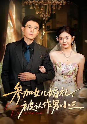 《参加女儿婚礼,被认作男小三(36集)单华清&姚婉婷(夸克网盘)》短剧封面