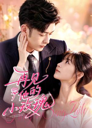 《再见他的小玫瑰(98集)向昊&杨佳蕾(夸克网盘)》短剧封面