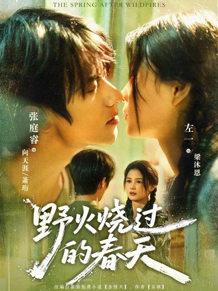 《野火烧过的春天》短剧封面