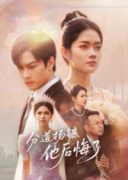 《分道扬镳,他后悔了(64集)许东哲&林鹿》短剧封面