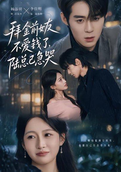《拜金前女友不爱钱了,陆总已急哭(40集)李佳明&杨添羽(百度网盘)》短剧封面