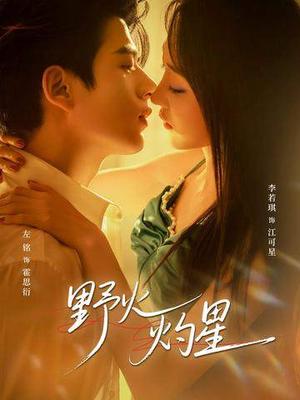 《野火灼星（56集）左铭＆李若琪（夸克网盘）》短剧封面