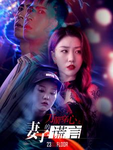 《万箭穿心之妻子的谎言（30集）（夸克网盘）》短剧封面