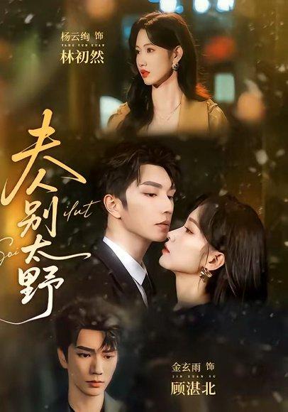 《夫人别太野(70集)金玄雨&杨云绚(百度网盘)》短剧封面