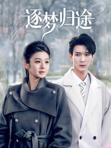 《逐梦归途(60集)孙博文&唐雪晴(夸克网盘)》短剧封面