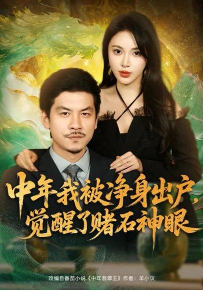 《中年我被净身出户，觉醒了赌石神眼（80集）柯珂＆王辉》短剧封面